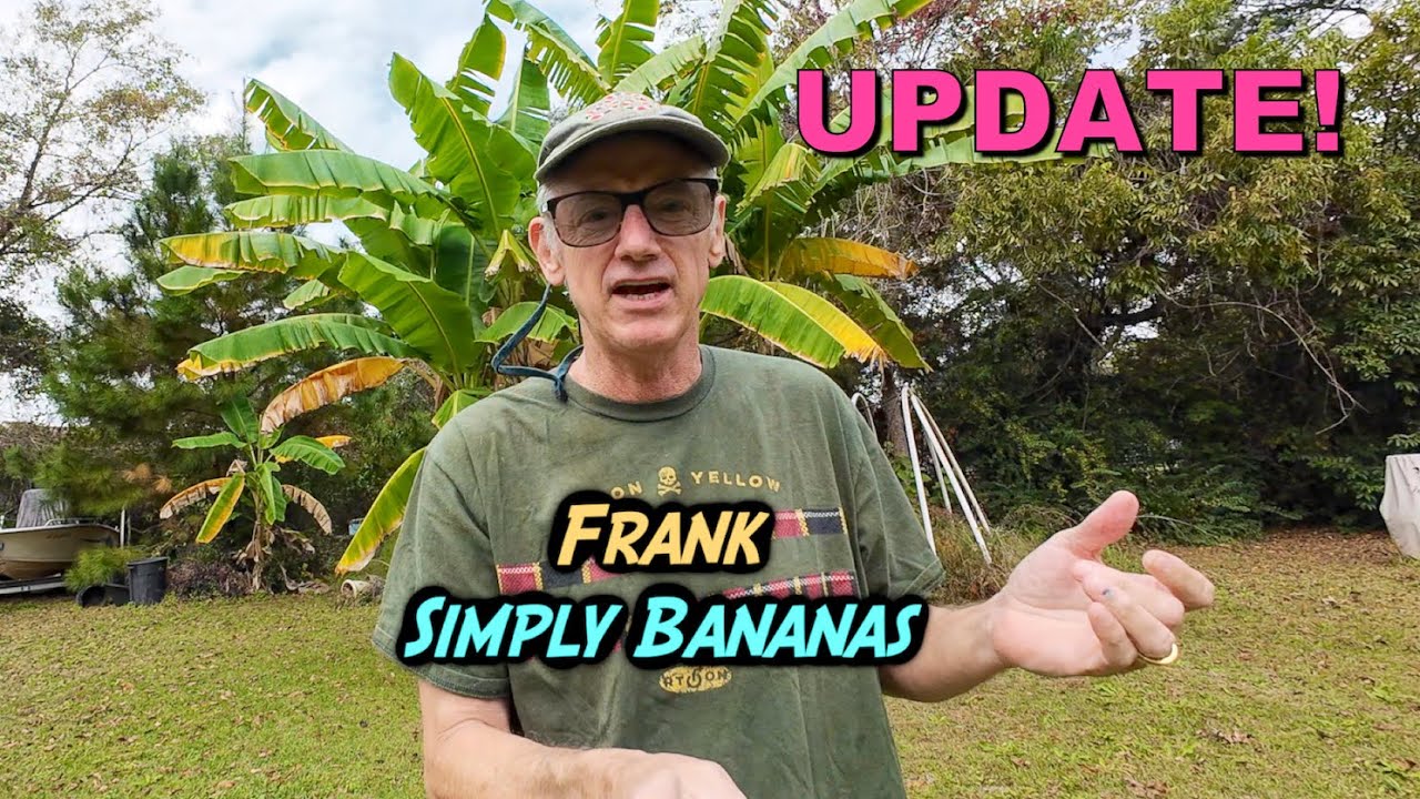*NEW * Banana Update 2023 (South Carolina)