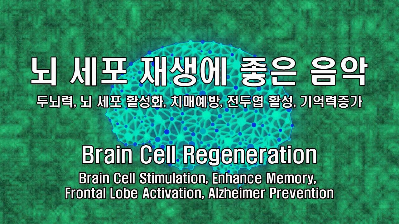 뇌세포 활성화 - 뇌세포 재생, 전두엽 활성화, 기억력 강화, 알츠하이머 예방, 해마, 즉각적인 효과