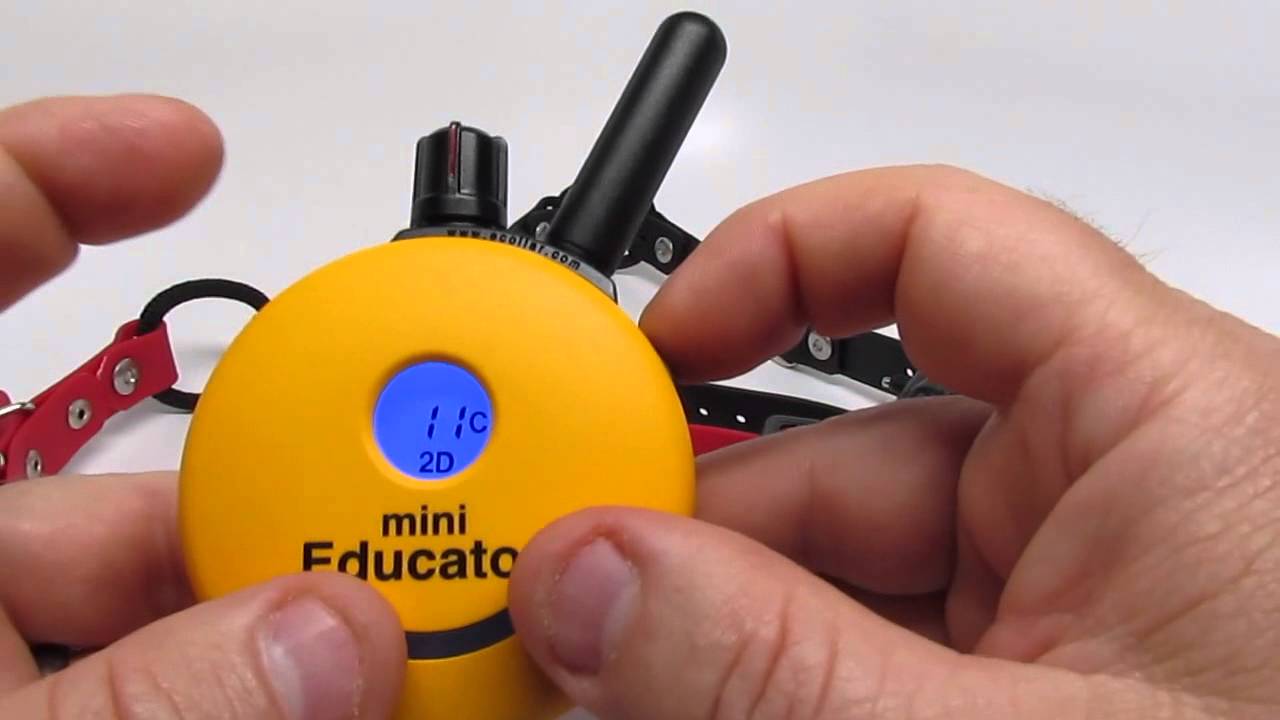 E-Collar Technologies Mini Educator 2 Dog ET-302