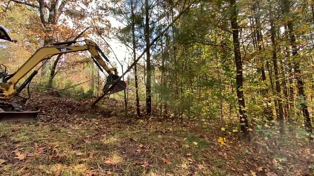 CAT 303 Clearing Trees! Ep 238