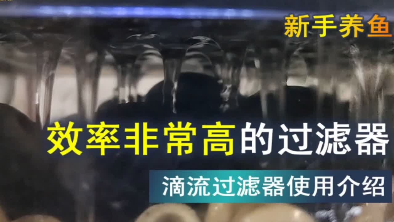 分解效率高的，滴流过滤器的优缺点分析，你值得拥有