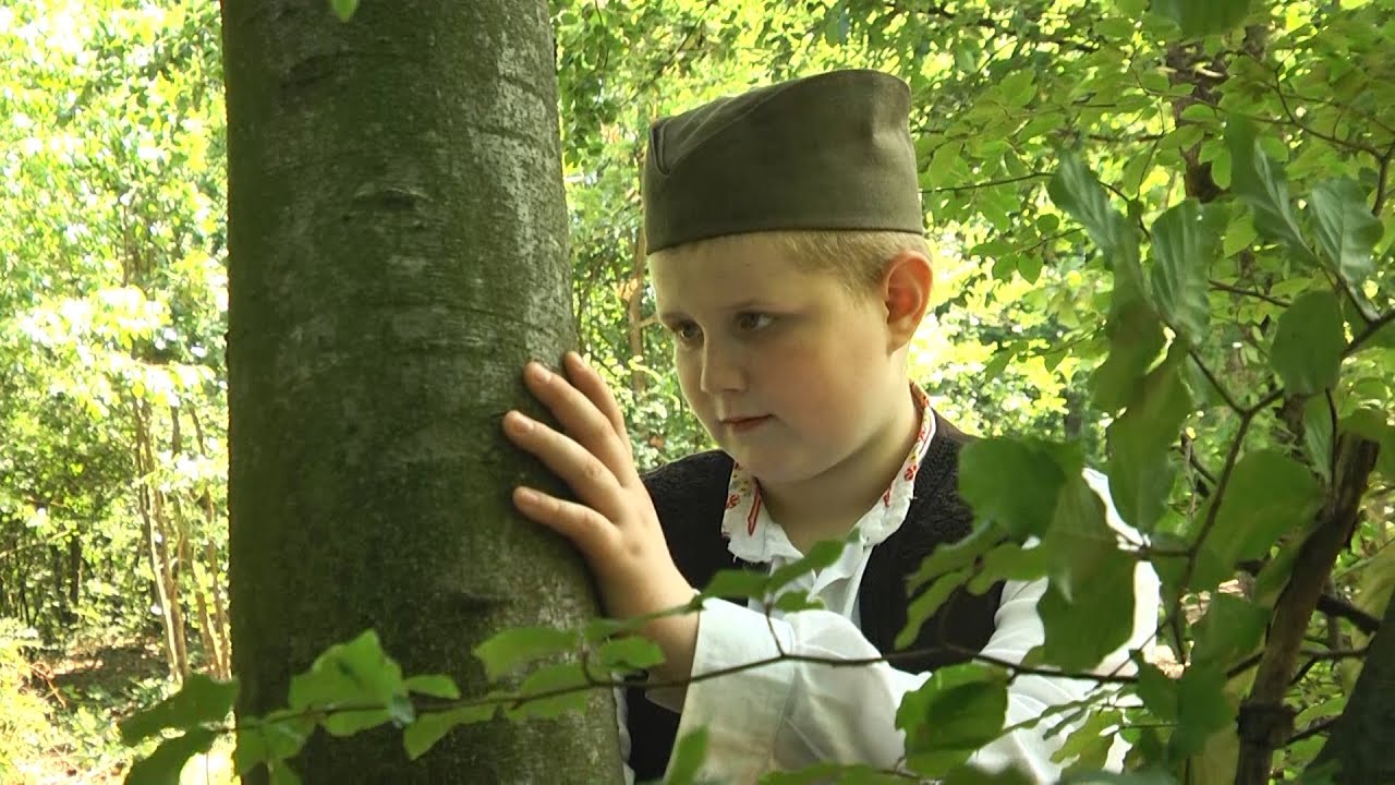 DOKO (dokumentarno igrani film) - Obicaji Radjevine - Dobrivoje i Dobrila Pantelic