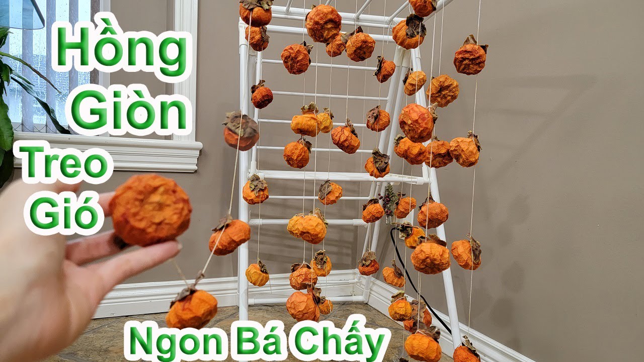 Lần đầu làm hồng giòn treo gió từ hồng hái ngoài vườn, ngon tuyệt vời 🇨🇦1058》Cuộc Sống Canada