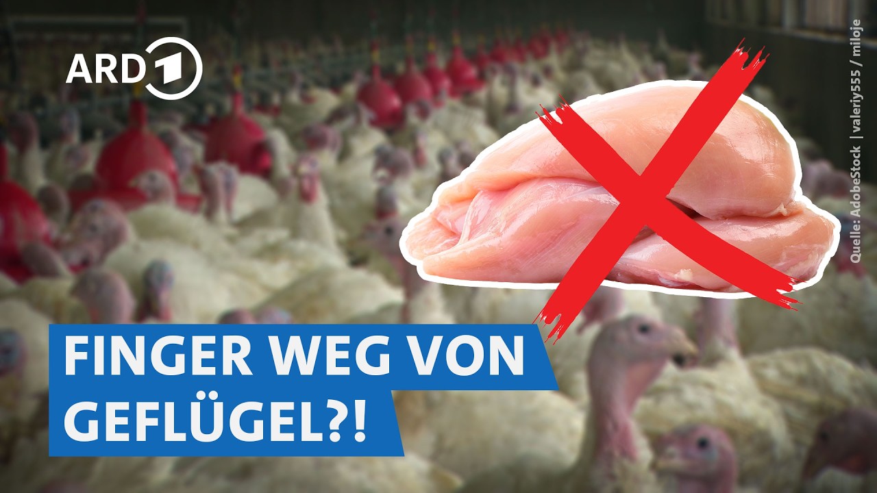 🦠 Gef&auml;hrliche Keime im Putenfleisch: Wie sicher ist Gefl&uuml;gel aus dem Supermarkt? | Markt WDR