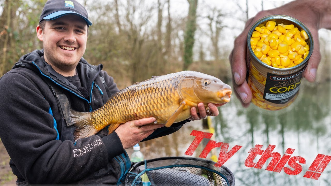 SWEETCORN CATCHES CARP! 🌽 | Matty Dawes | at Weston Pools