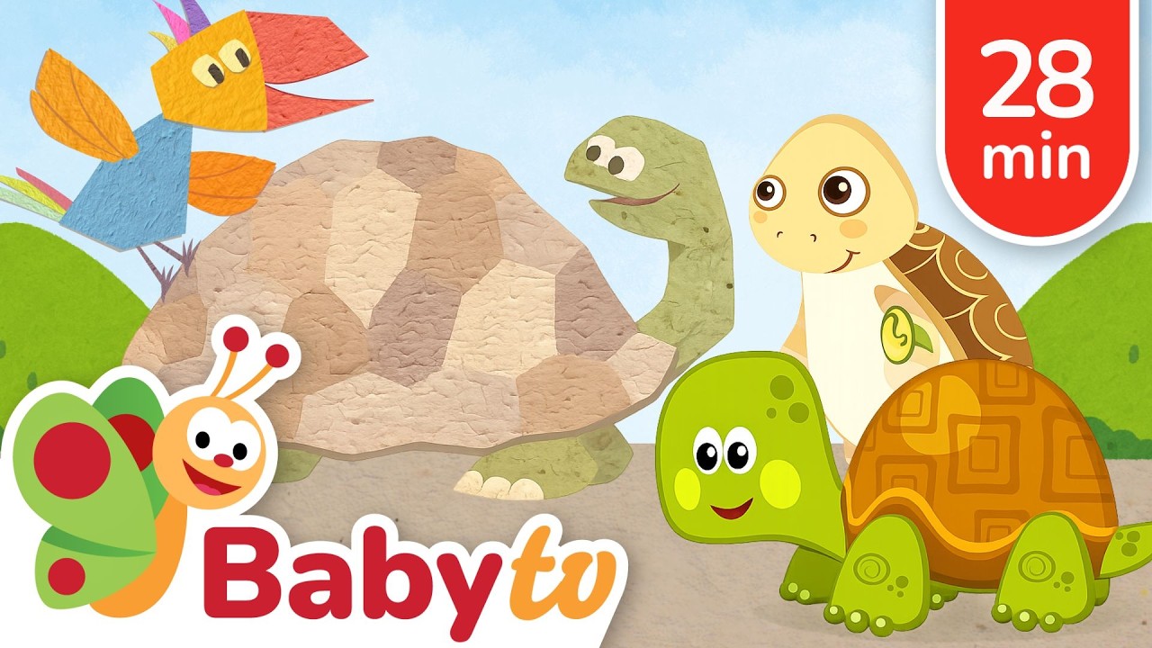 Turtles & Tortoises! | Animal Facts for Toddlers @BabyTV
