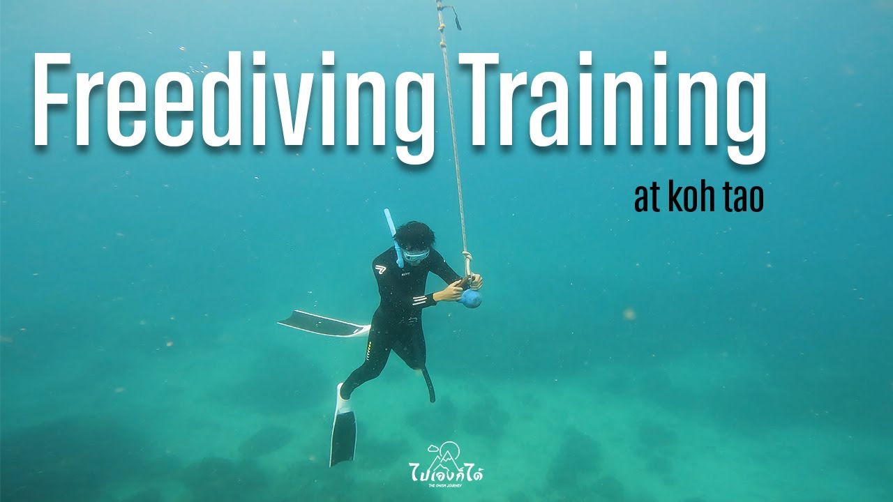 Freediving Training เทรนนิ่งฟรีไดฟ์ที่เกาะเต่า| ไปเองก็ได้