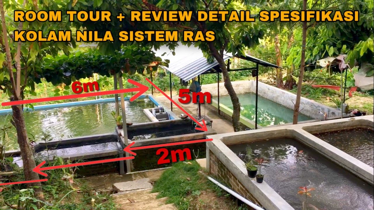 ROOM TOUR DAN REVIEW DETAIL SPESIFIKASI KOLAM BETON SISTEM RAS BUDIDAYA IKAN NILA RUMAHAN