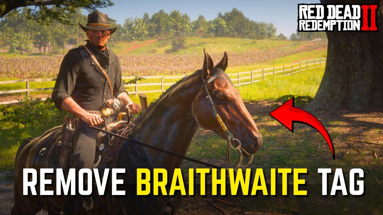 RDR2: Как удалить маркер B из туркменского языка