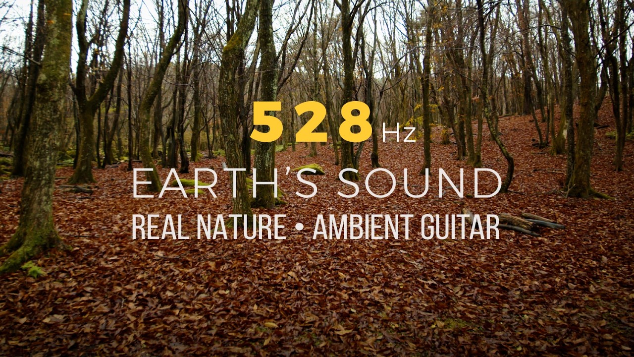 528Hz Solfeggio Frequency ｜Earth’s Sound ‘Forest of Renewal’   Healing & Transformation｜再生の森