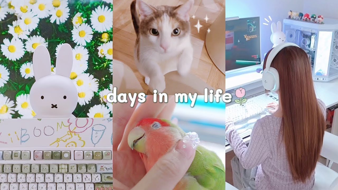 ⋆˙ʚ daily vlog ɞ˙⋆ chill and quiet introvert diary with my pets, aesthetic living alone vlog