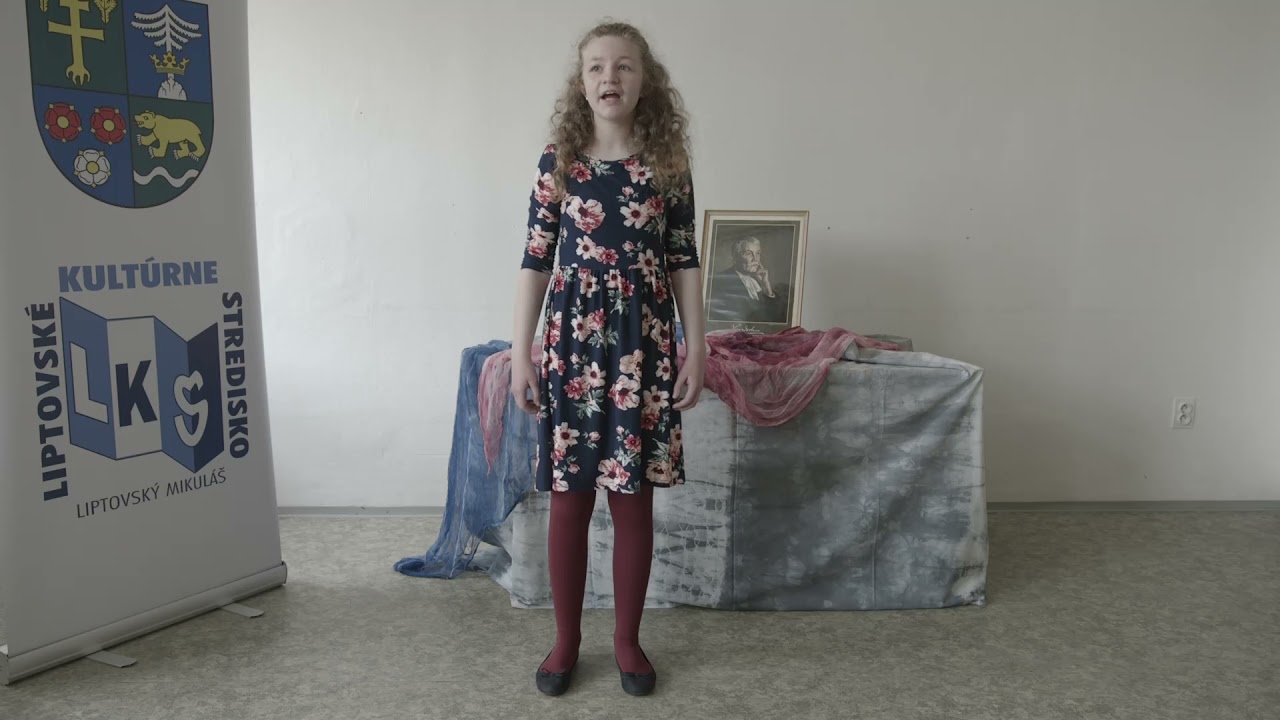 II  kateg&oacute;ria po&eacute;zia Valent&iacute;n &Scaron;efč&iacute;k BASTA, FIDLI, recituje Barbora Papčov&aacute;