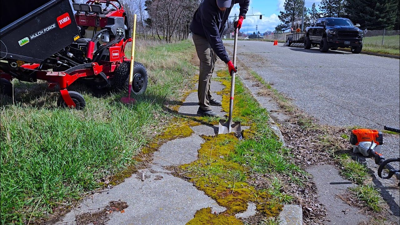 I Discovered A MOSS INFESTED Sidewalk And SCRAPED It Clean