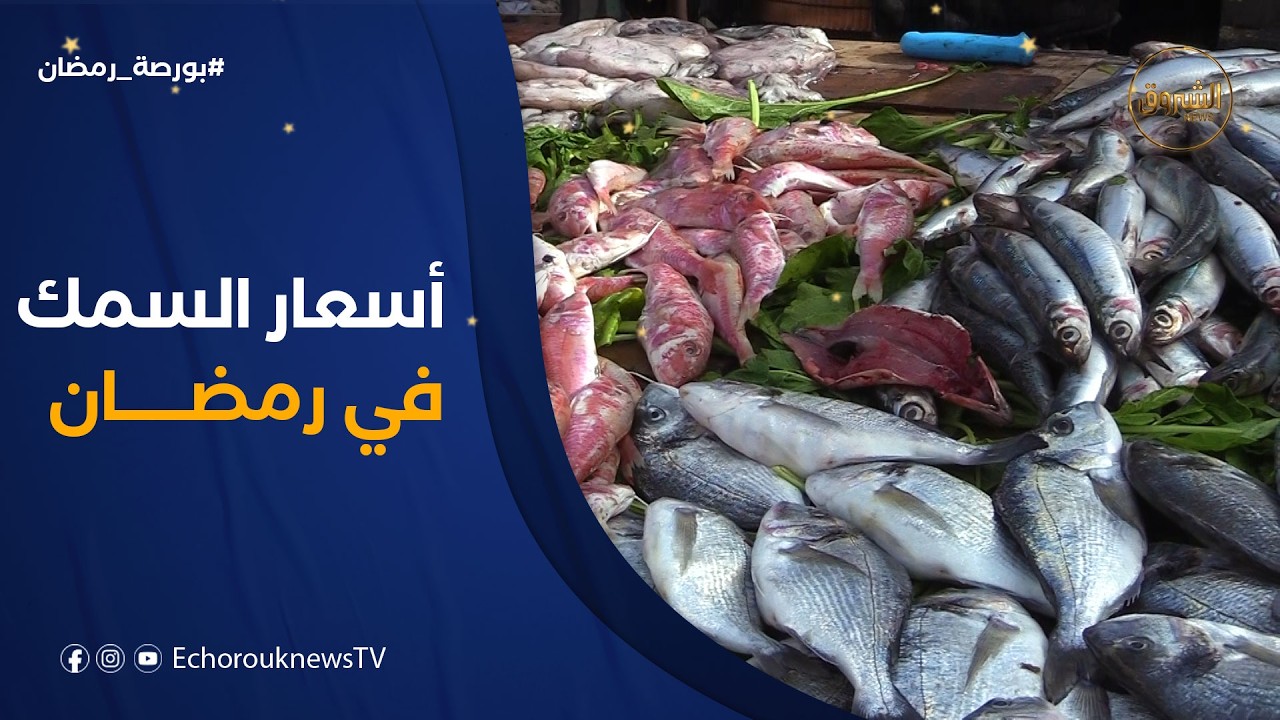 بورصة رمضان | جولة في سوق السمك.. كيف هي الأسعار؟ وماذا يفضل المواطن في رمضان؟