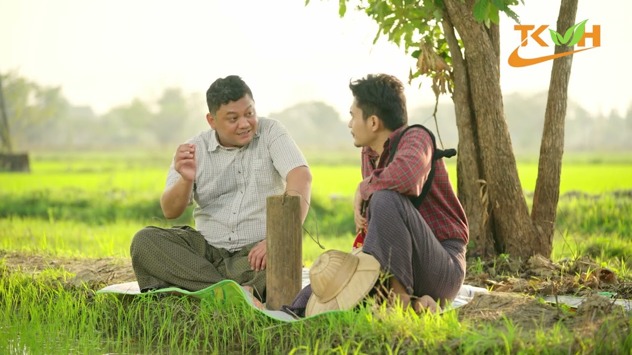 မှို၊ ရောဂါများအတွက် သုခမဟာ