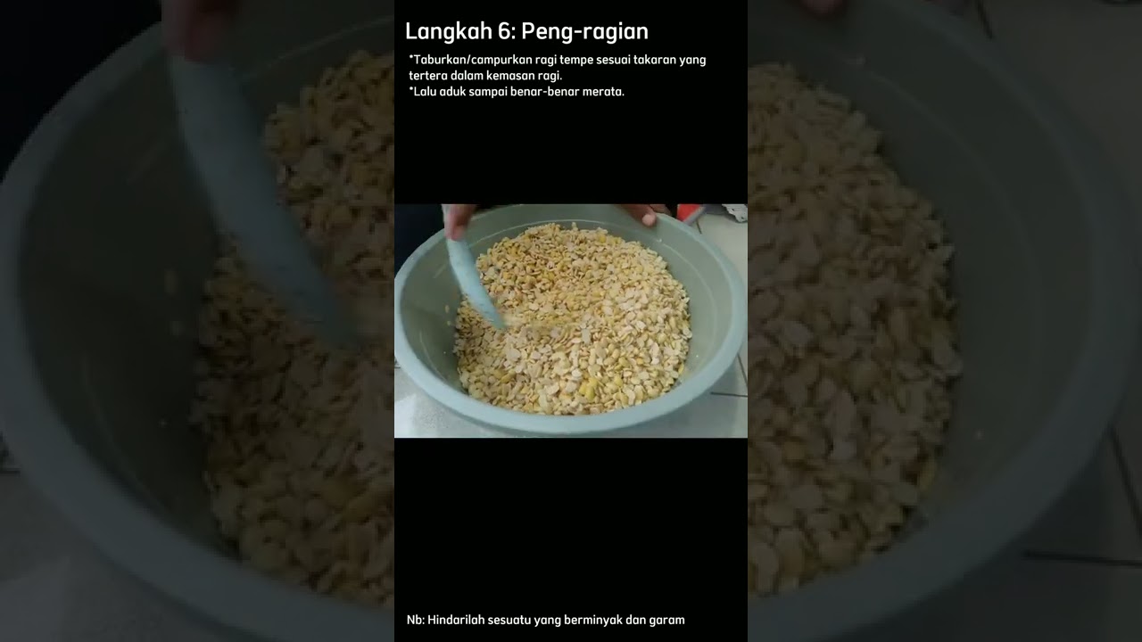 Tutorial membuat tempe dengan cara di kukus