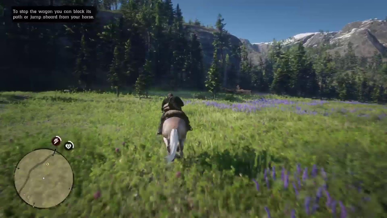 DUTCH NEEDS TO SPEAK TO ME 💀 || RDR2 CHAPTER 6 || #live