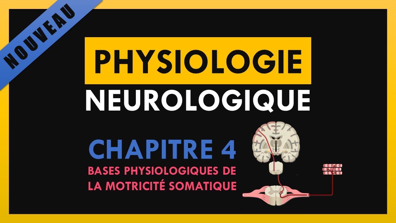 Physiologie Neurologique - Chapitre 4 - Bases physiologiques de la motricit&eacute; somatique