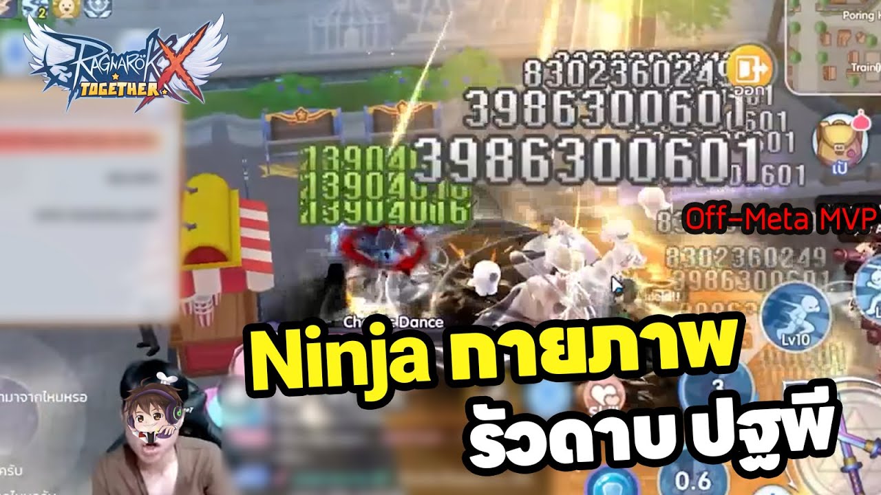 ROX ตามสัญญา นินจากายภาพคลาส 4 สุดติ่งกระดิ่งแมว