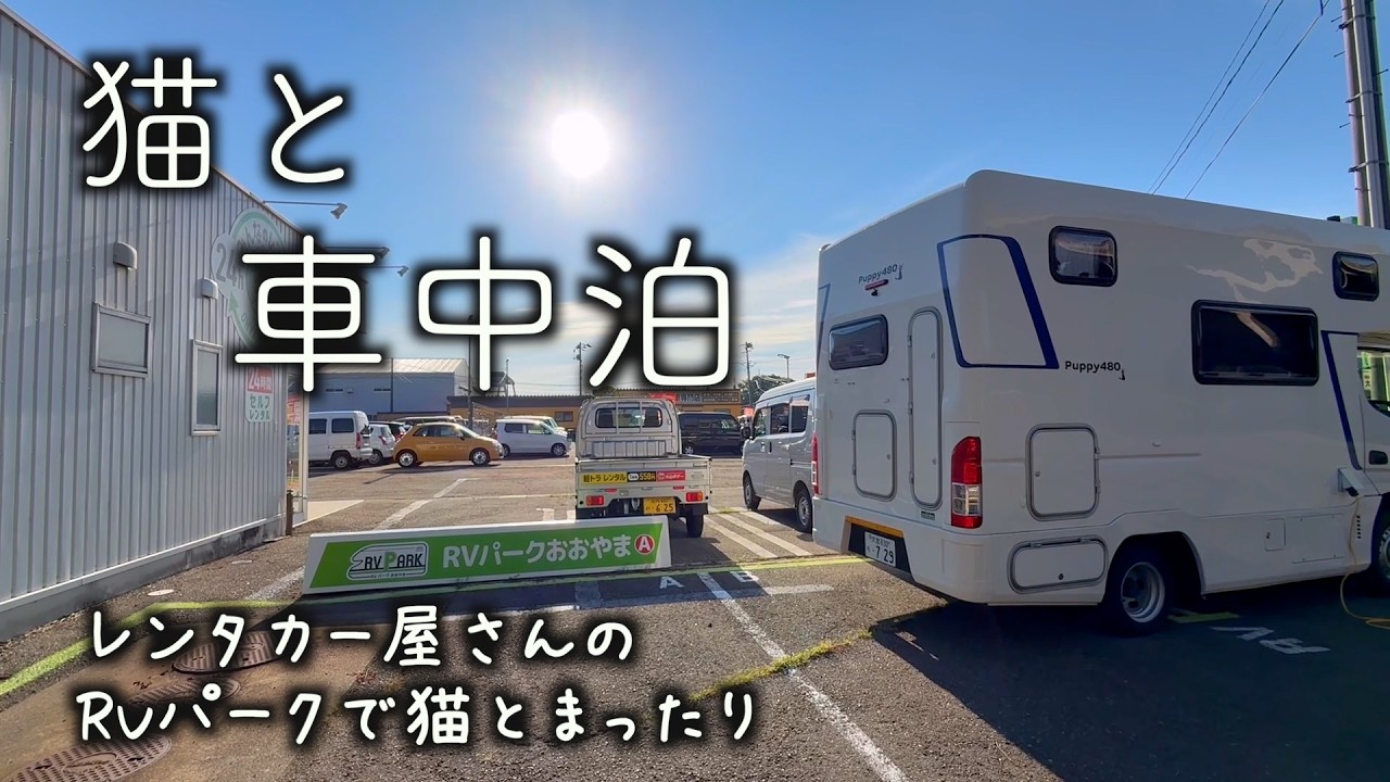【猫と山形車中泊旅】鶴岡のRVパークで猫とまったり