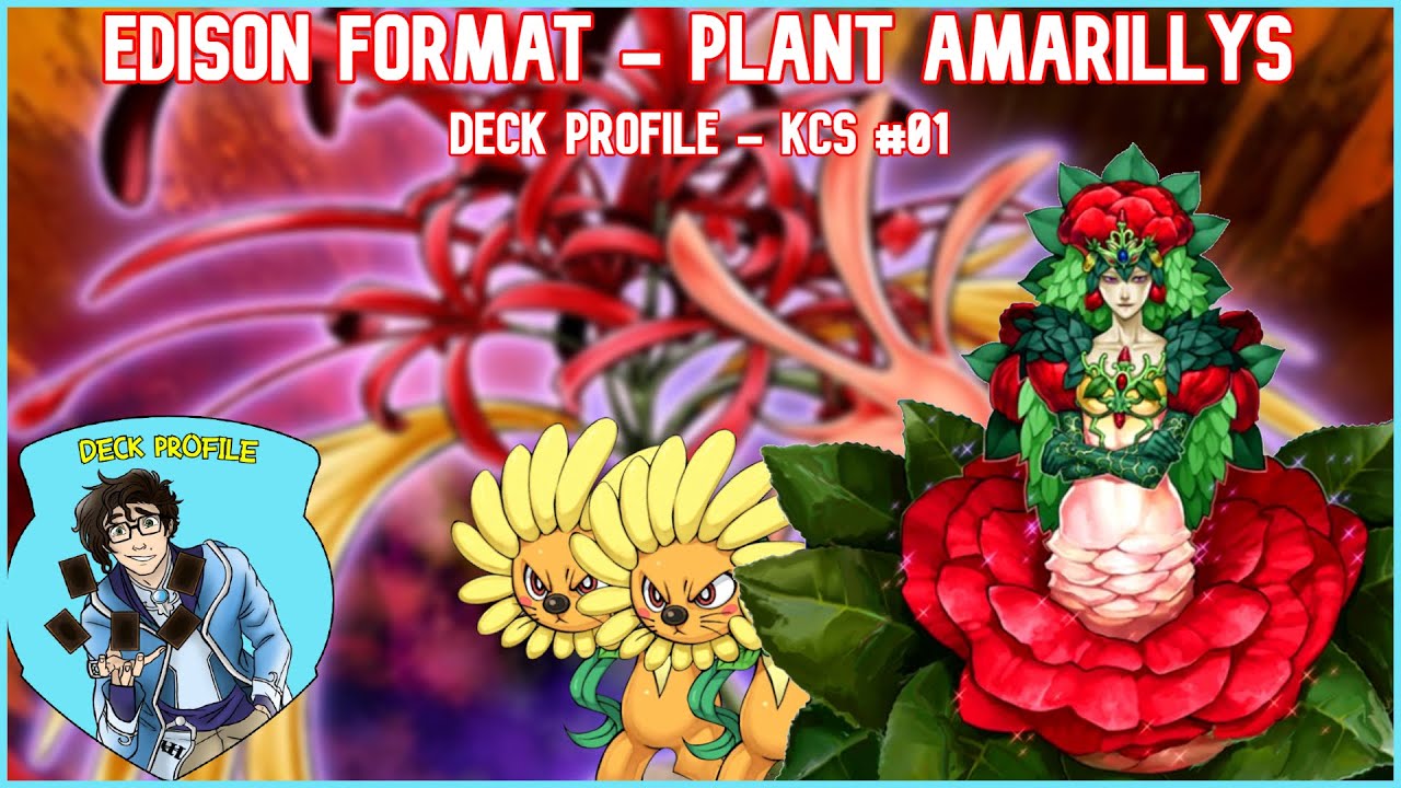 EDISON Format | Plant Amarillys🥀| Deck Profile Time Wizard Yu-Gi-Oh! | KCS01