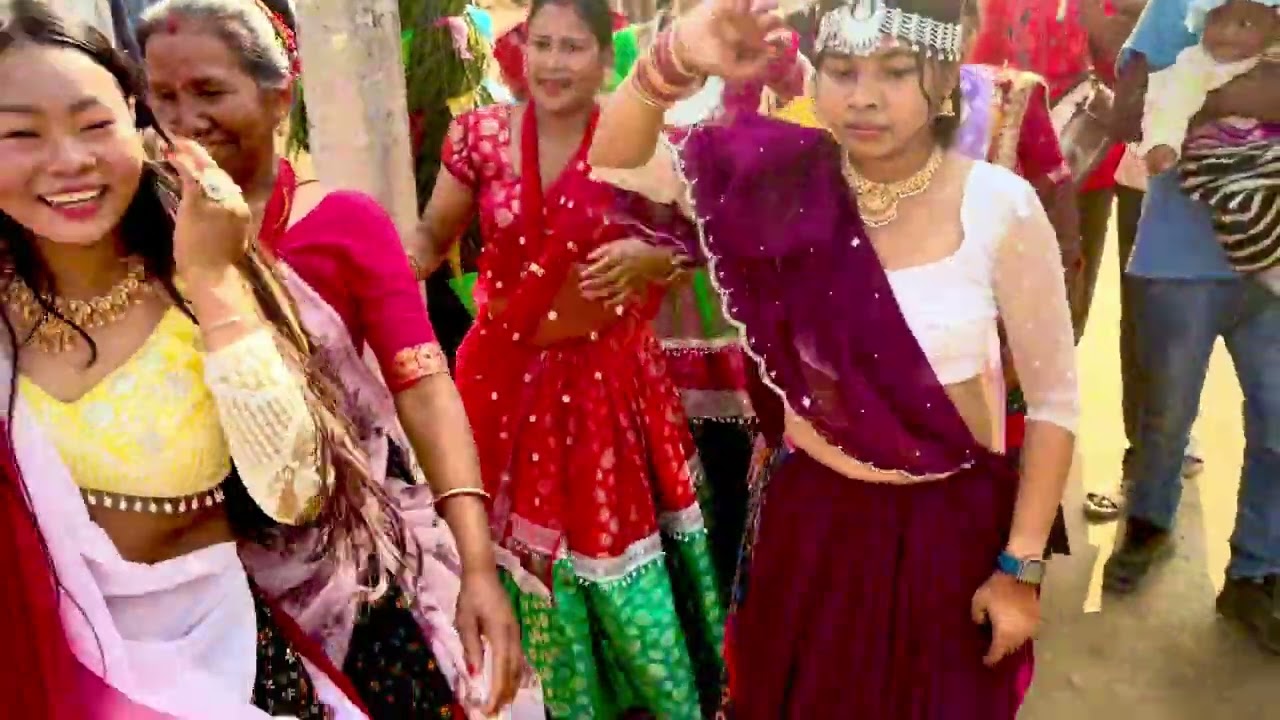 THARU WEDDING | WEDDING DANCE | WEDDING VIBES| THARU BHOJ | THARU CULTURE 
