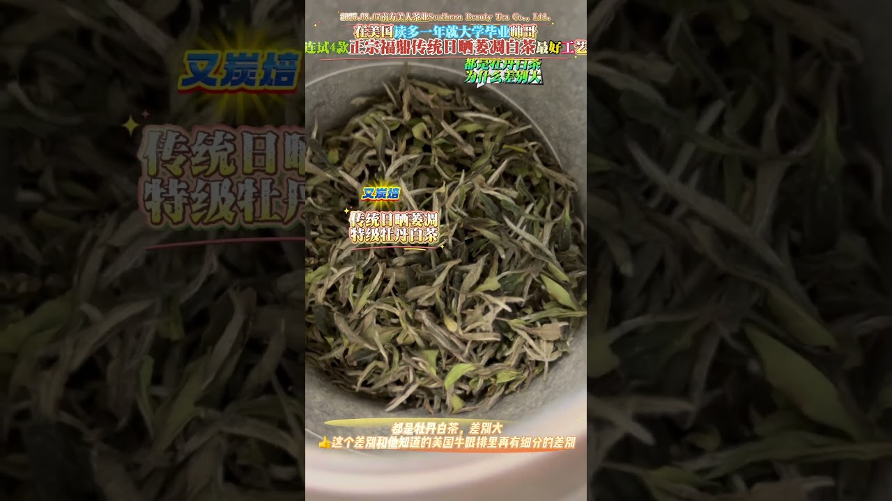 Hot guy finishing college in the US next year tried FOUR legit Fuding sun-dried white teas #tea