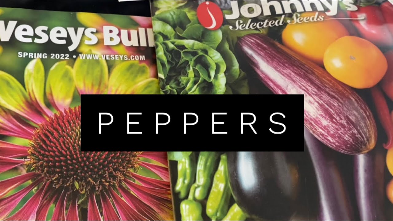 Seed haul. What I’m growing to preserve for the year. Peppers. Short growing season.