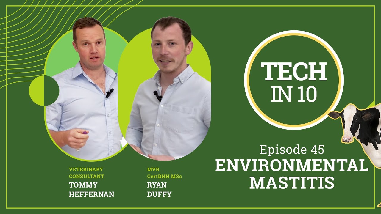 Tech in 10 - Episode 45: Environmental Mastitis in Early Lactation: Causes, Risks & Prevention