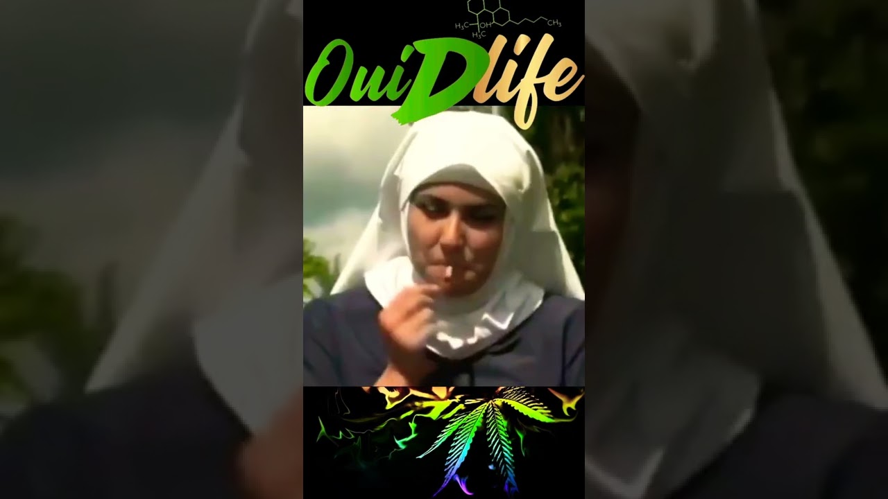 OuiDlife.fr La #qualit&eacute;  pour que votre exp&eacute;rience #cbd  soit la meilleure !