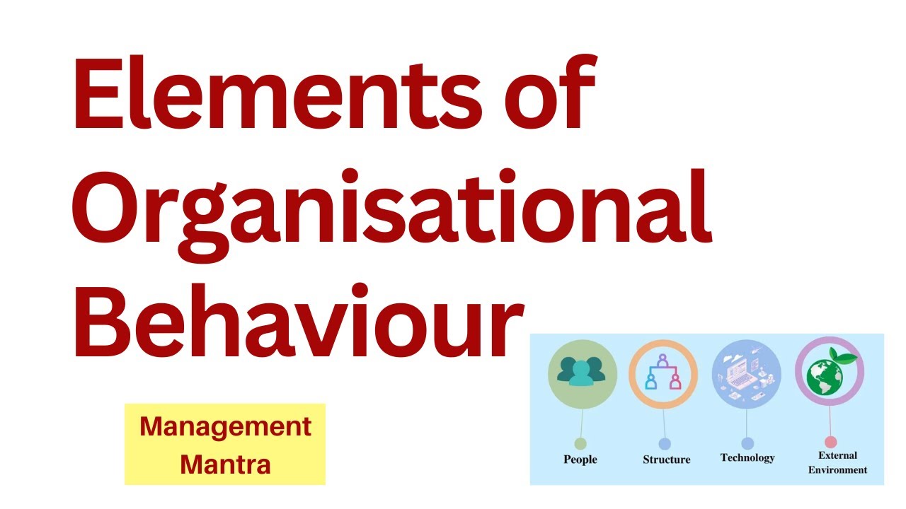 Elements of organisational behaviour, Elements of OB | Organizational Behaviour