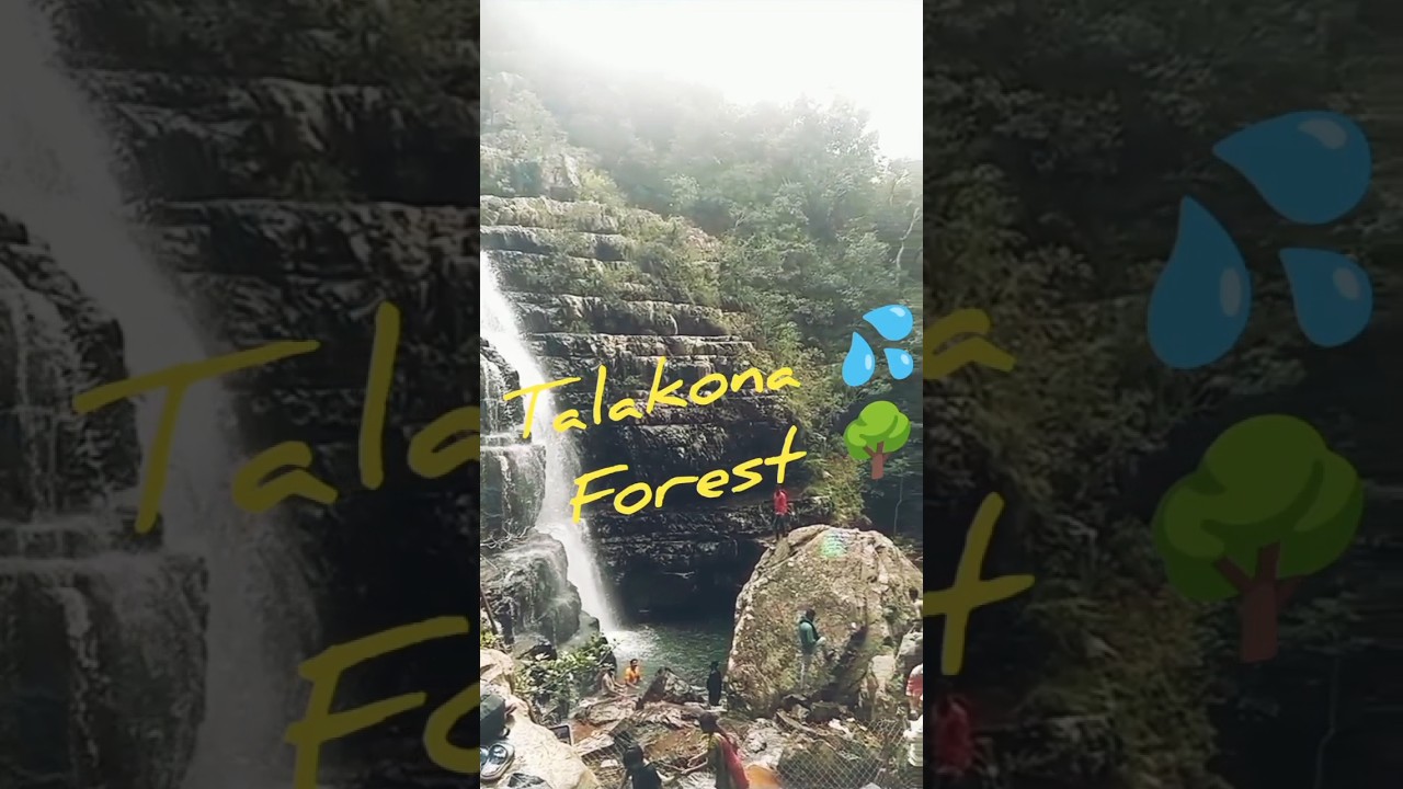 Talakona 🌳 forest 🌊 🧳#shorts #shortvideo #nature #waterfall #forest