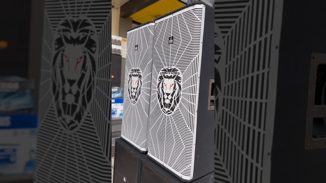 Dj Setup ✅ #djsetup #djsoundsystem #djset #speaker #djsystem #dj #djcabinet #musicshow