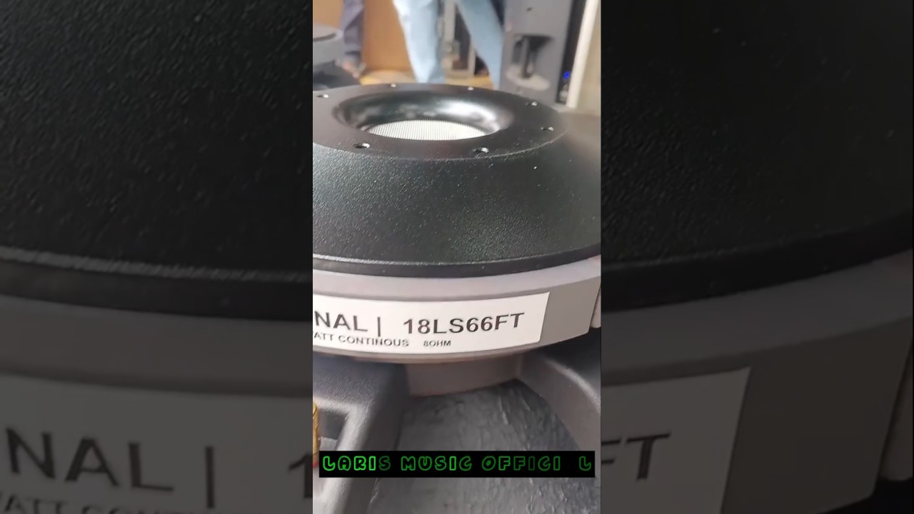 SPEAKER RDW 18