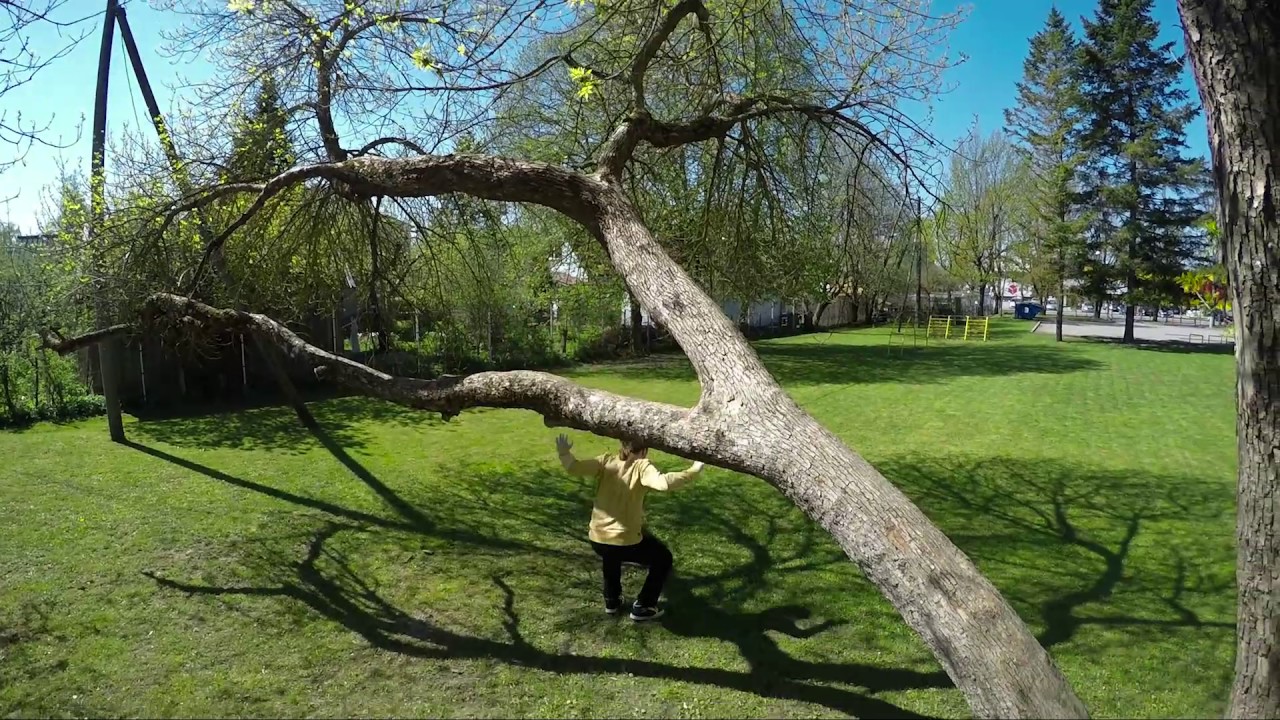 Paide Gümnaasiumit tutvustav video 2017