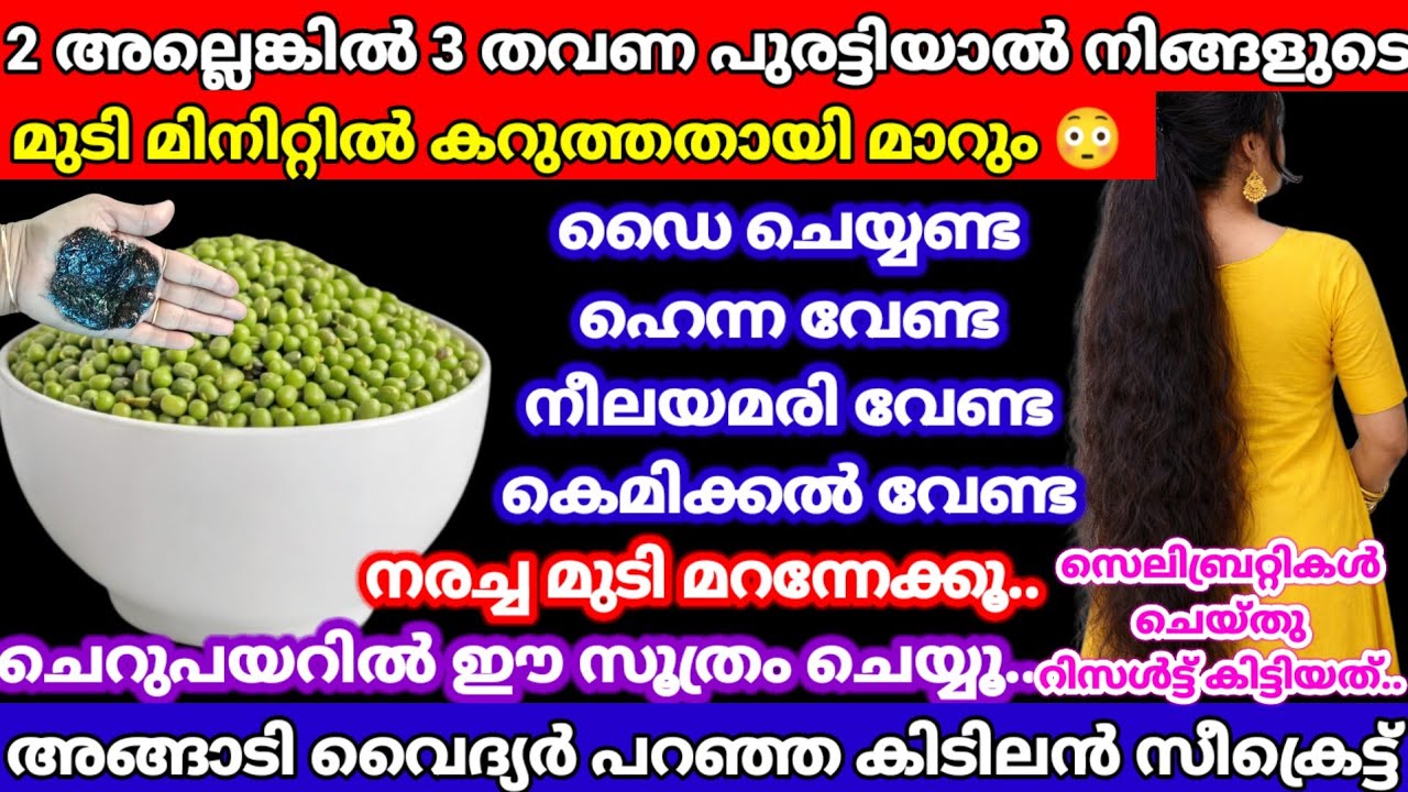 100% natural hairdye രണ്ടോ മൂന്നോ തവണപുരട്ടിയാൽ വെളുത്തമുടികൾ സ്ഥിരമായി കറുപ്പ് നിറമാകും.. #nocolour