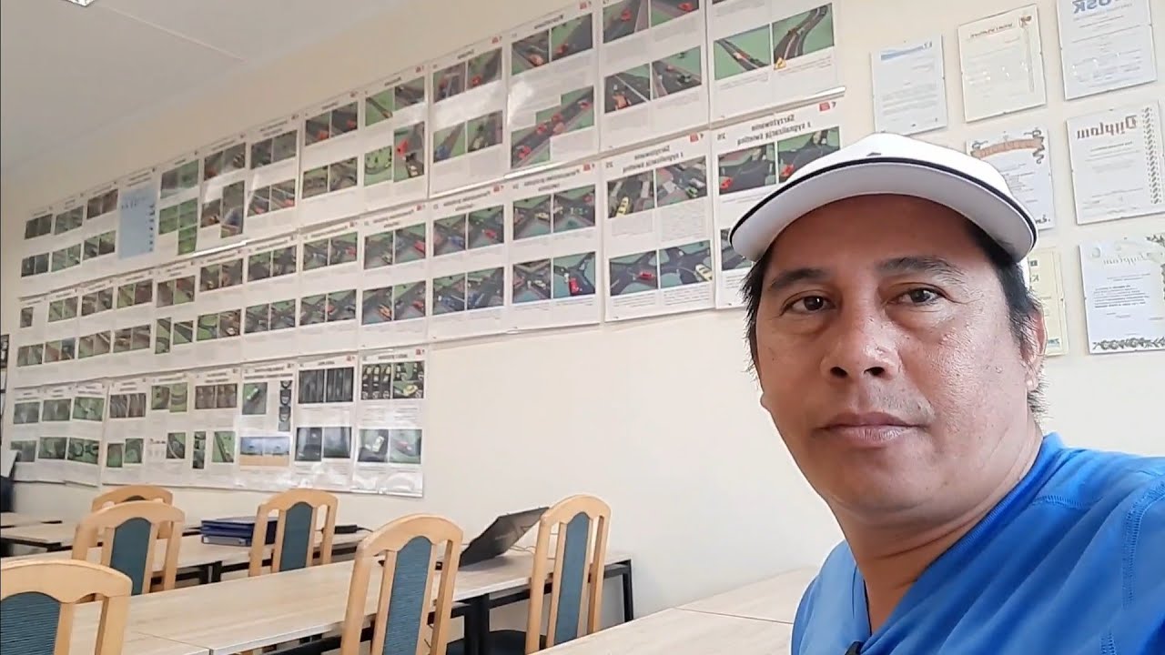 WHAT IS CODE 95 IN EUROPE FOR  TRAILER  DRIVER?