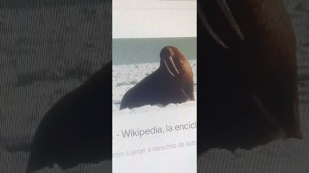 Animales del Ártico