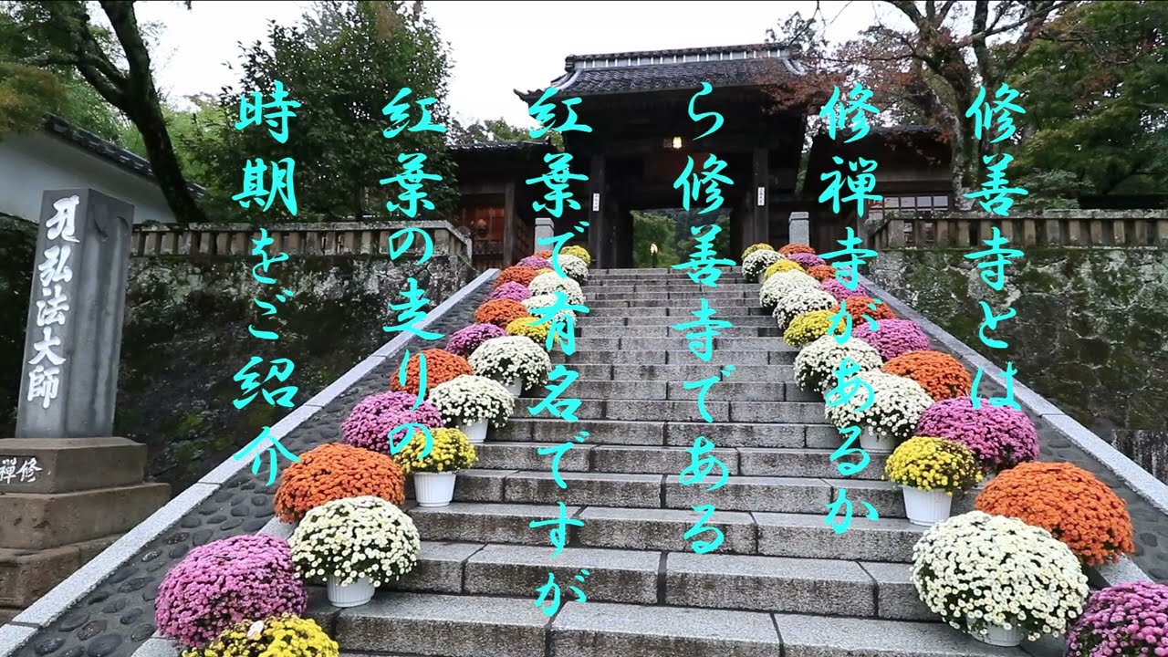 伊豆半島の修善寺の紅葉時期のゆっくり解説ですね
