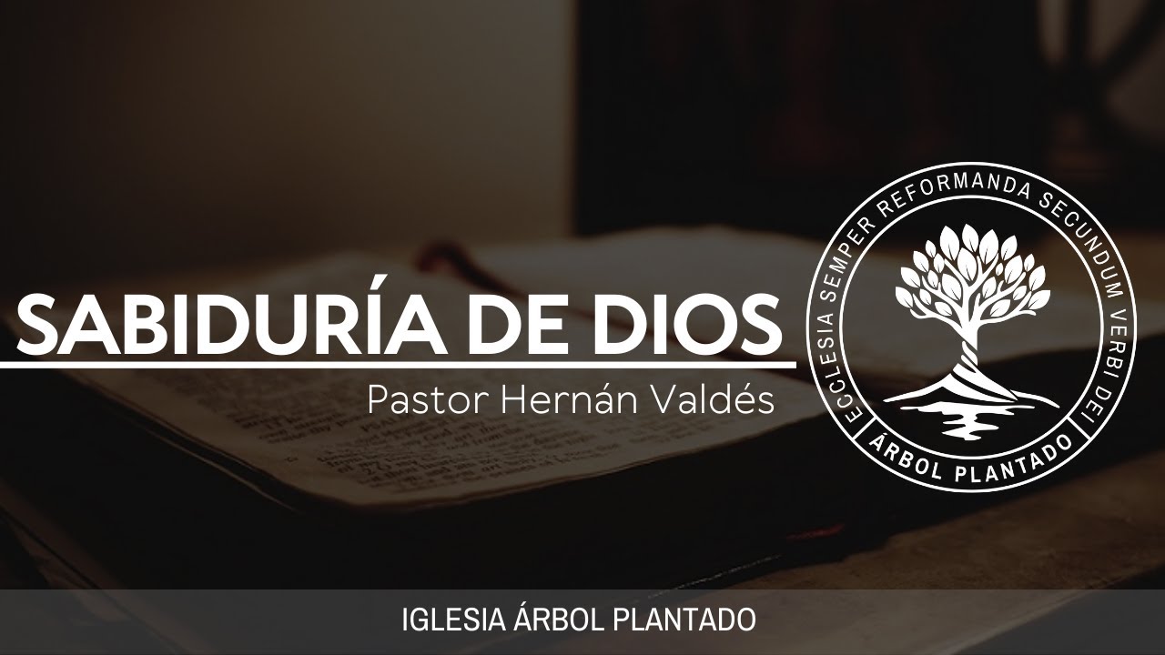 28 - La Sabiduría de Dios