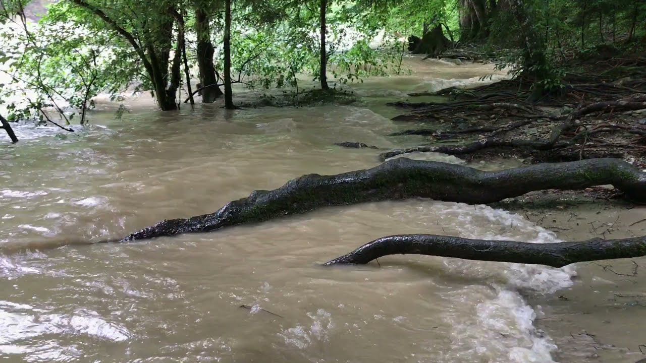 Kraft der Strömung - Argenhochwasser am 16. Juli 2021