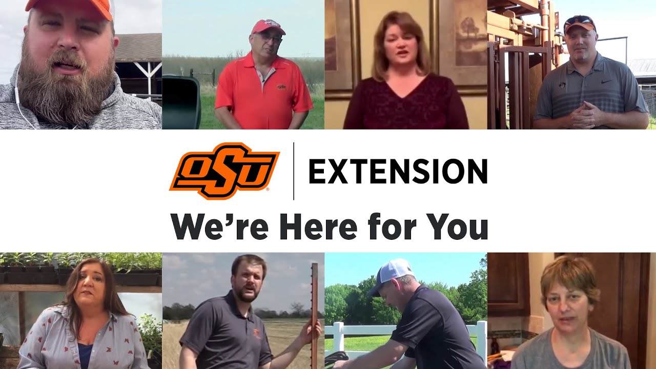 OSU Extension: We&rsquo;re Here for You