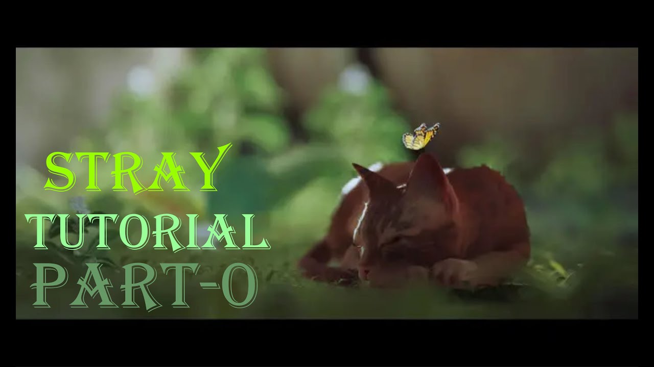 STRAY (PART-0) LOW END PC WITH HIGH GRAPHICS {TUTORIAL- Inside the wall}