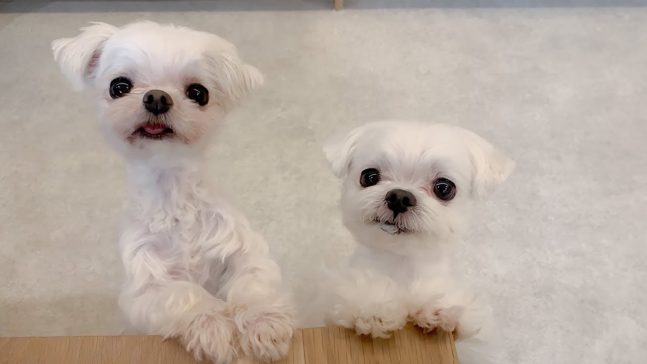 우리가 벌써 100일이라고?