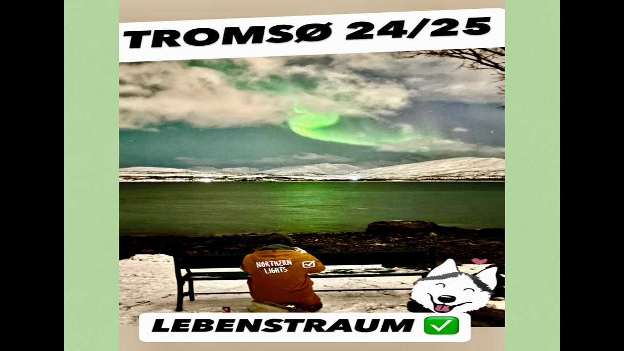 ABENTEUER  NORWEGEN @TROMSØ x AURORA BOREALIS x HUSKY SLED TOUR x HAPPY NEW YEAR FIREWORK