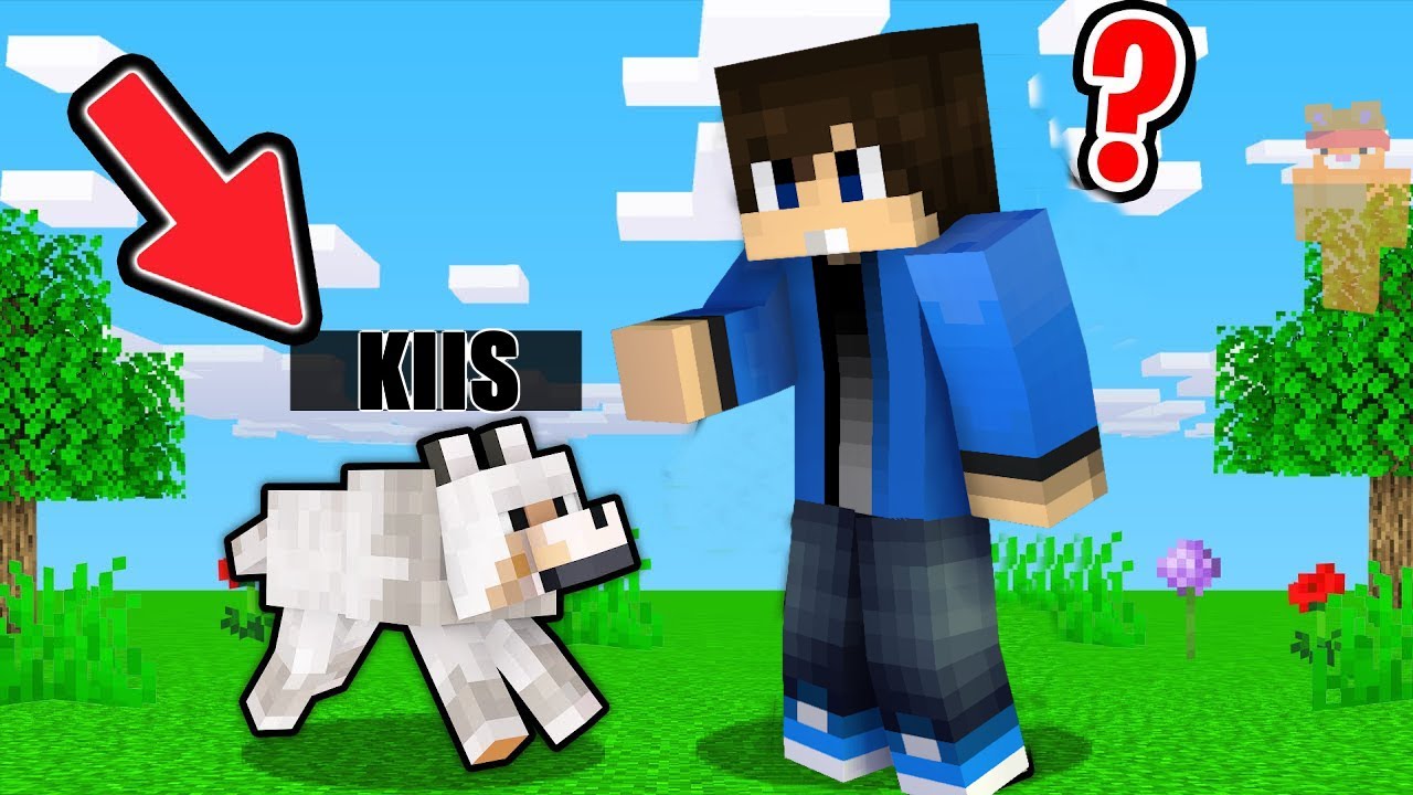 KUTYA VS MACSKA BÚJÓCSKA KIHÍVÁS A MINECRAFTBAN!