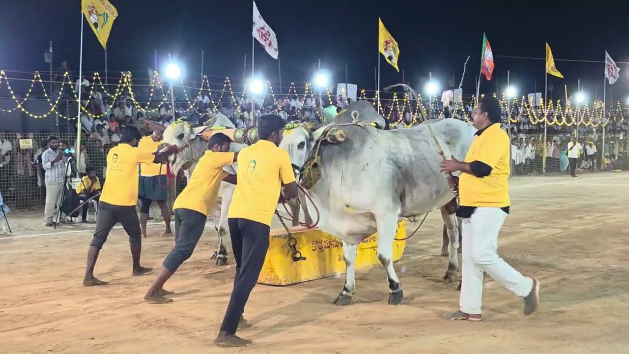 Veerasimha and jayasimha got 1st place in Tenali