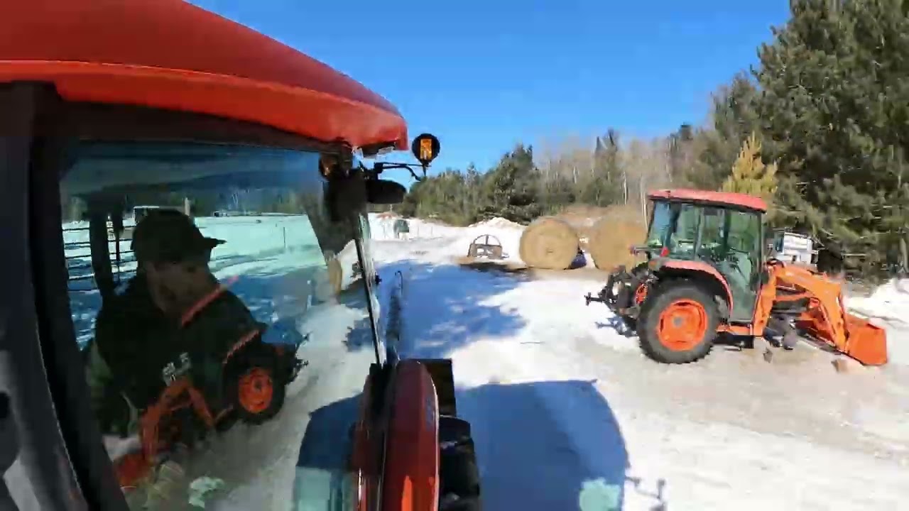 Trees need clearing before spring time hits