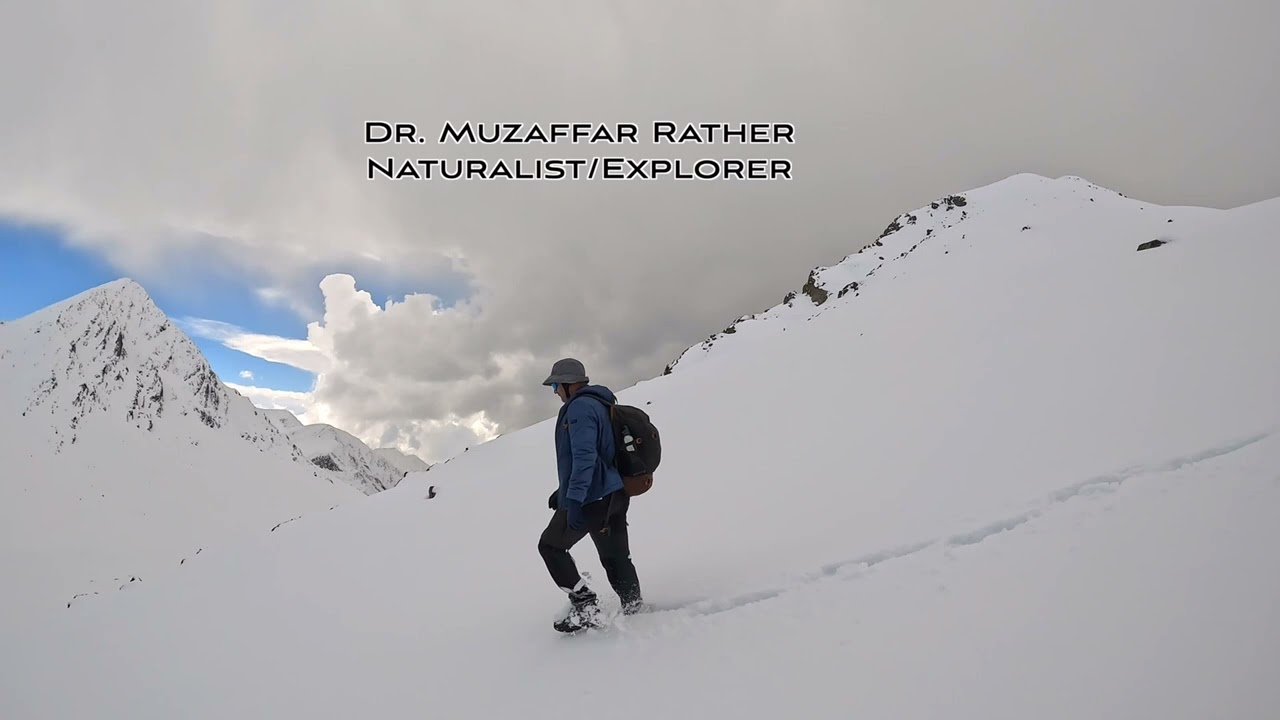  we submitted Choharnag during twelve feet snow.