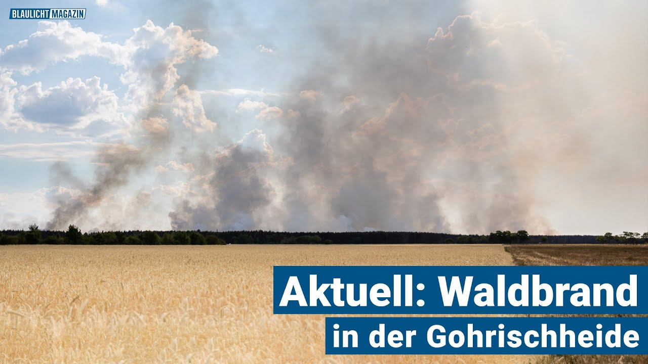 Die aktuelle Lage beim Waldbrand in der Gohrischheide